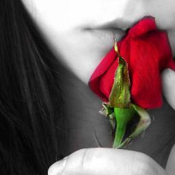 SouoVento's profile picture. Não sou Ninguém.. Sou como o VENTO, ou seja, Me Ignore :3