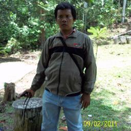 Kerja di Sinar Mas Forestry