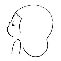 egawatakumi's profile picture. 