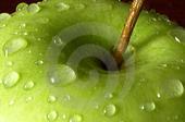 Be sure to click only on the green apple.
A classic rock band that plays great originals that have made number 1on many sites. love family, friends and PEACE