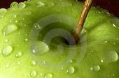 Be sure to click only on the green apple.
A classic rock band that plays great originals that have made number 1on many sites. love family, friends and  PEACE