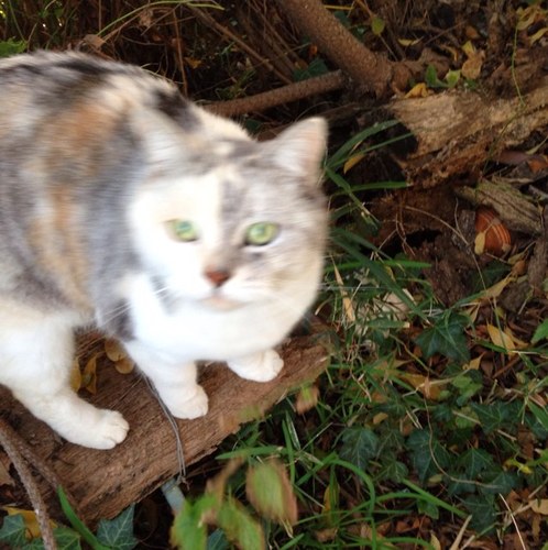 165necox's profile picture. KinKi KidsとSMAPが好きです。一生ついていくよー！