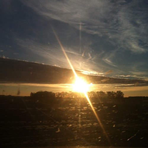 partyproblems01's profile picture. A way to express my real thoughts