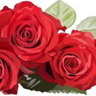 ローズ サラ ハフマン 女子サッカー選手 チームメートのワンバックと同性婚 が今読まれているニュースだそうです ローズ サラ ハフマン 女子サッカー選手 チームメートのワンバックと同性婚 が今読まれているニュースだそうです