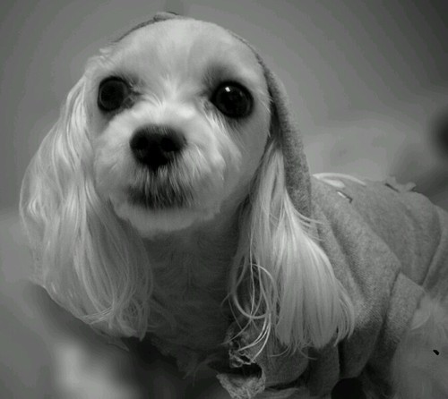 nukuke71's profile picture. 지금이 살아갈날중에 가장 젊은 시간이다.지금 생각하는 것이 제일 빠른 생각이다.실시간맞팔100%.