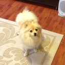 Anthony Mui - @aznslasher1214 - Twitter