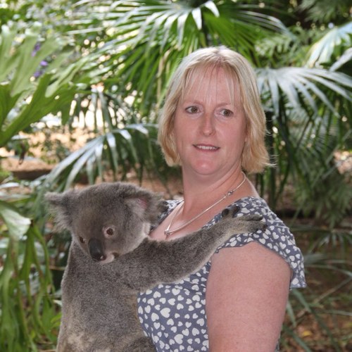 execchefsarah's profile picture. 