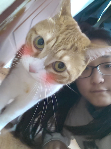 hellodearmyluv's profile picture. 스윗소로우,고양이,음식,패션디자인,패션마케팅,내 브랜드,음악