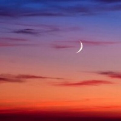 Profile Picture of سارووونه (@Robert130Hering) on Twitter