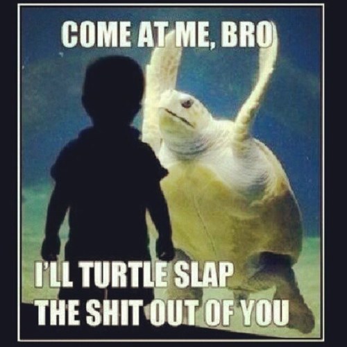 ccoonnaaiill's profile picture. 