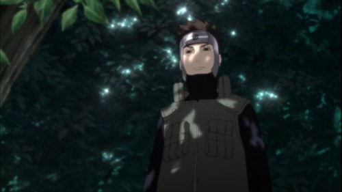 I love Kakashi, Yamato, and Iruka~! I love One Piece, Naruto, and Gintama! I like animals and sports too! Casual gamer.