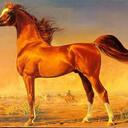 Sue Crane - @Etruscan1 - Twitter