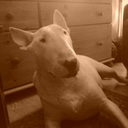 david howson - @howson83 - Twitter