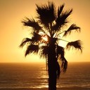 laura kovach - @lak629 - Twitter