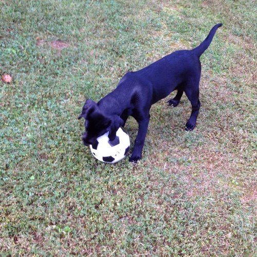 realpgh412's profile picture. Started a new page because having over 8,000 followers isn't what life is about.