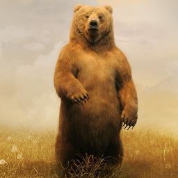 Dusgraaf's profile picture. 