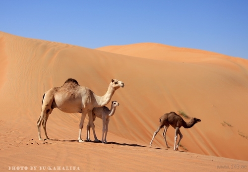 ‏‏أجعل لك سمعة في هذه الدنيا فالعمر قصير