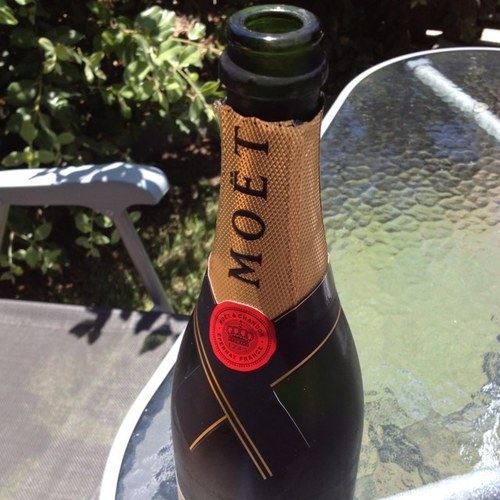 UrSweetKiwi's profile picture. Want that man in a suitcase!