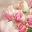 sadeem777's profile image