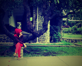 wuricahya's profile picture. interested in arts, design, photography, writing and business