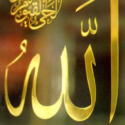 ahmed_popos97's profile picture. 