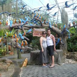 Maxxis_Nguyen's profile picture. 