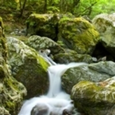 栃木の渓流釣りガイド Turiguidejp Twitter