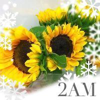 ♡2AM♡IAM 3기♡슬옹바라기♡