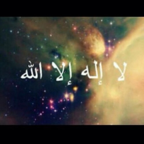 ً هاله العوده
