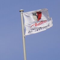 shino (@shino_12) 's Twitter Profile Photo