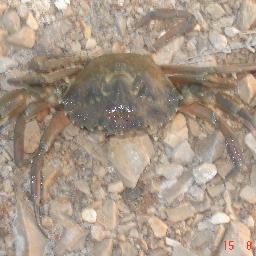 andreasperd's profile picture. 