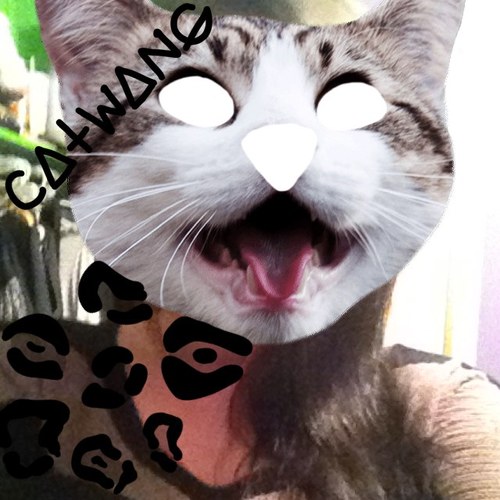 Fluffyxo's profile picture. 