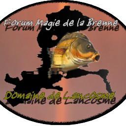 Forum_Lancosme's profile picture. Twitter Officiel du Forum Magie de la Brenne - Domaine de Lancosme
Pêche de la carpe en No-Kill