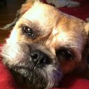 wendy seel - @seelwendy - Twitter