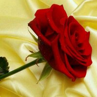 Haya ♡   (@haya1_r) 's Twitter Profile