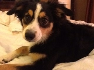 Jbmatheny's profile picture. 