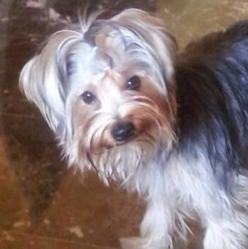 almagroarronis's profile picture. 