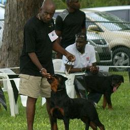 dynatec54's profile picture. Internet Marketer,Executive Chef And the world's best  Father