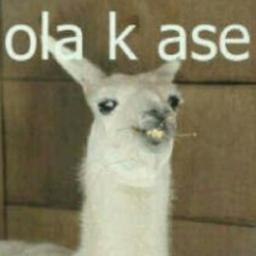 Ola Ke Ase soy la llama Ke Ase, Kiere Pelea?