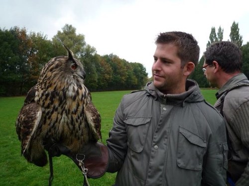 MVGLight's profile picture. 