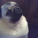 Sheila Hyatt - @Smiley7863 - Twitter