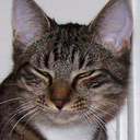 Ken Benson - @KennyBender - Twitter