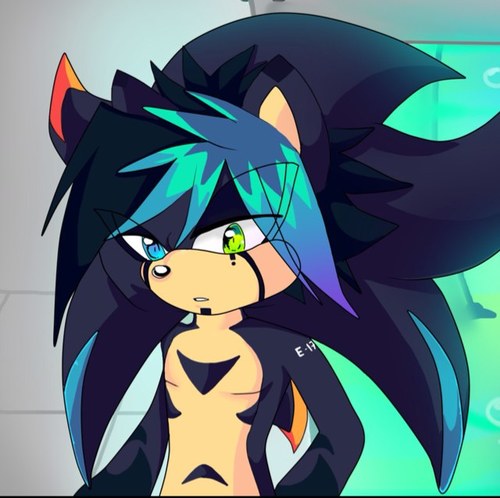 A hedgehog that was created in a lab known as E-17 but they call me Zane.... My age and abilities are unknown.... (RP/Taken By: @xCathTheHedgiex ) ^\\\^