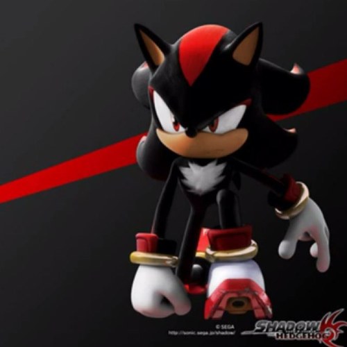 darkhedgehoge's profile picture. savior of earth you can call me the ultemate life form wife @DarkRosHedgehog if you try and touch her thin you are a dead man walking
