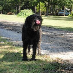 KKgoldenlight's profile picture. I am Very Thankful!