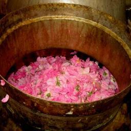 Naturel22's profile picture. 