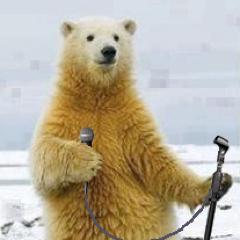 PolarBearComedy's profile picture. Is it hot in here or is it just me?