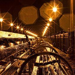 stillimage's profile picture. 