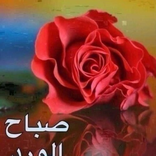 متابعه جيده - تابعني اتابعك