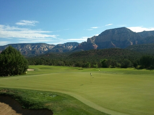 Tee_Shirt_Time's profile picture. 